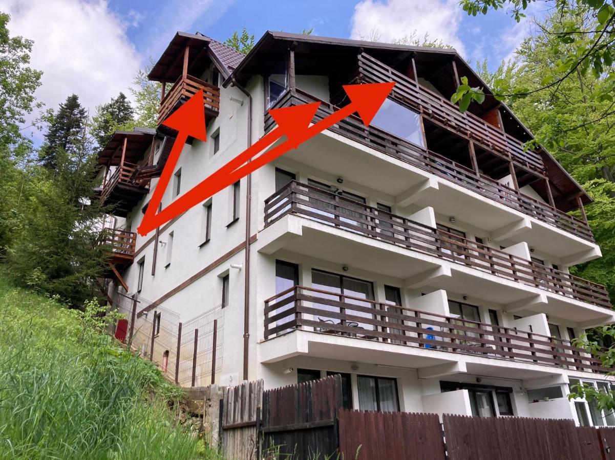 Lucas Duplex Apartment Azuga Ngoại thất bức ảnh